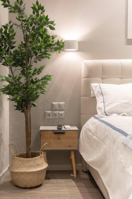אתונה A11 Pristine & Comfy Studio Near Plaka & Parthenon מראה חיצוני תמונה