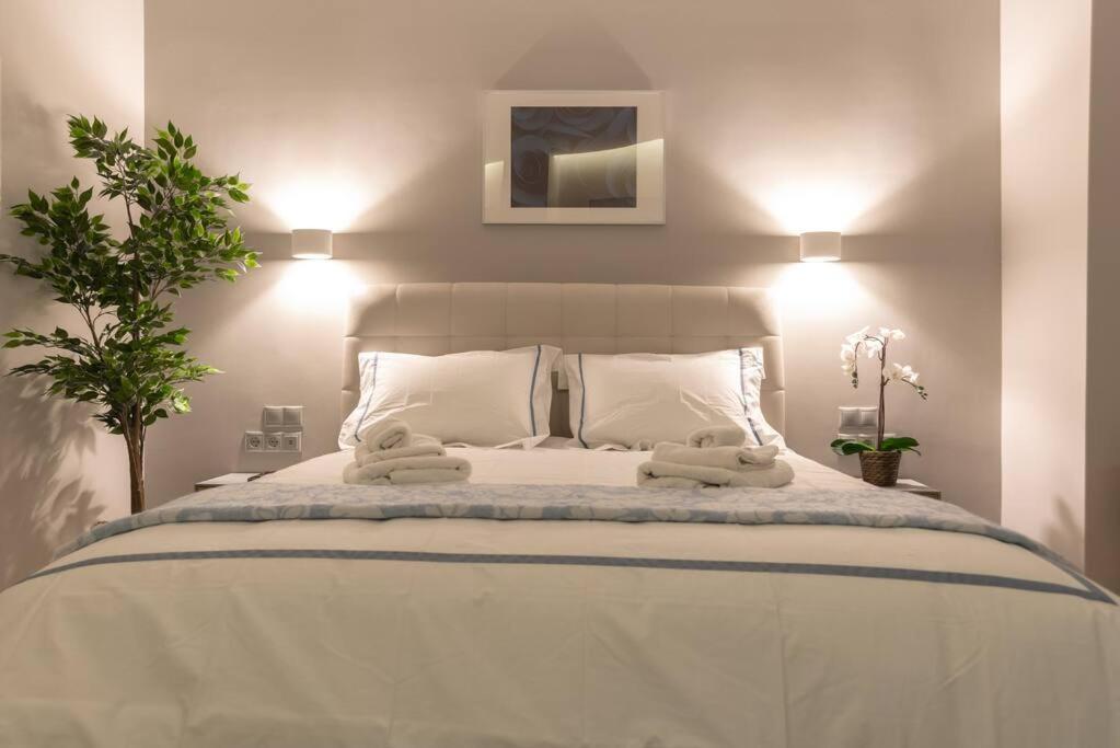אתונה A11 Pristine & Comfy Studio Near Plaka & Parthenon מראה חיצוני תמונה